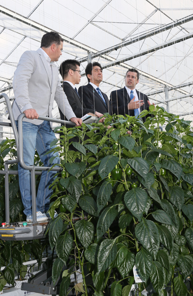 正在访问荷兰王国的安倍总理，与欧洲理事会主席赫尔曼•范龙佩、欧盟委员会主席若泽•曼努埃尔•杜朗•巴罗佐、加拿大总理史蒂芬•哈珀、德意志联邦共和国总理安格拉•默克尔分别会谈后，举行了国内外记者发布会。随即，在视察了农业相关设施（Green Port）后，与美利坚合众国总统贝拉克•奥巴马、大韩民国总统朴槿惠举行了会谈。