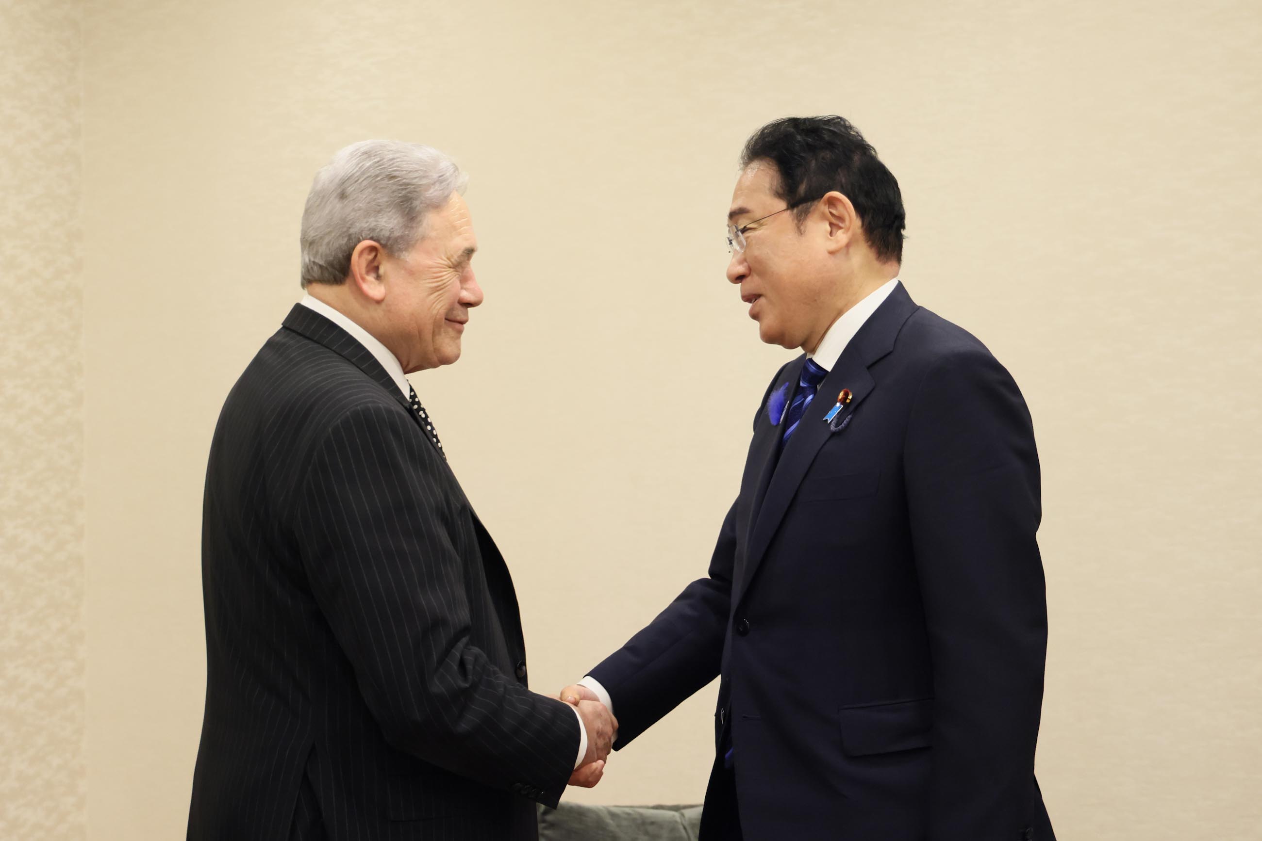 岸田首相接受新西兰副总理兼外长的拜会1