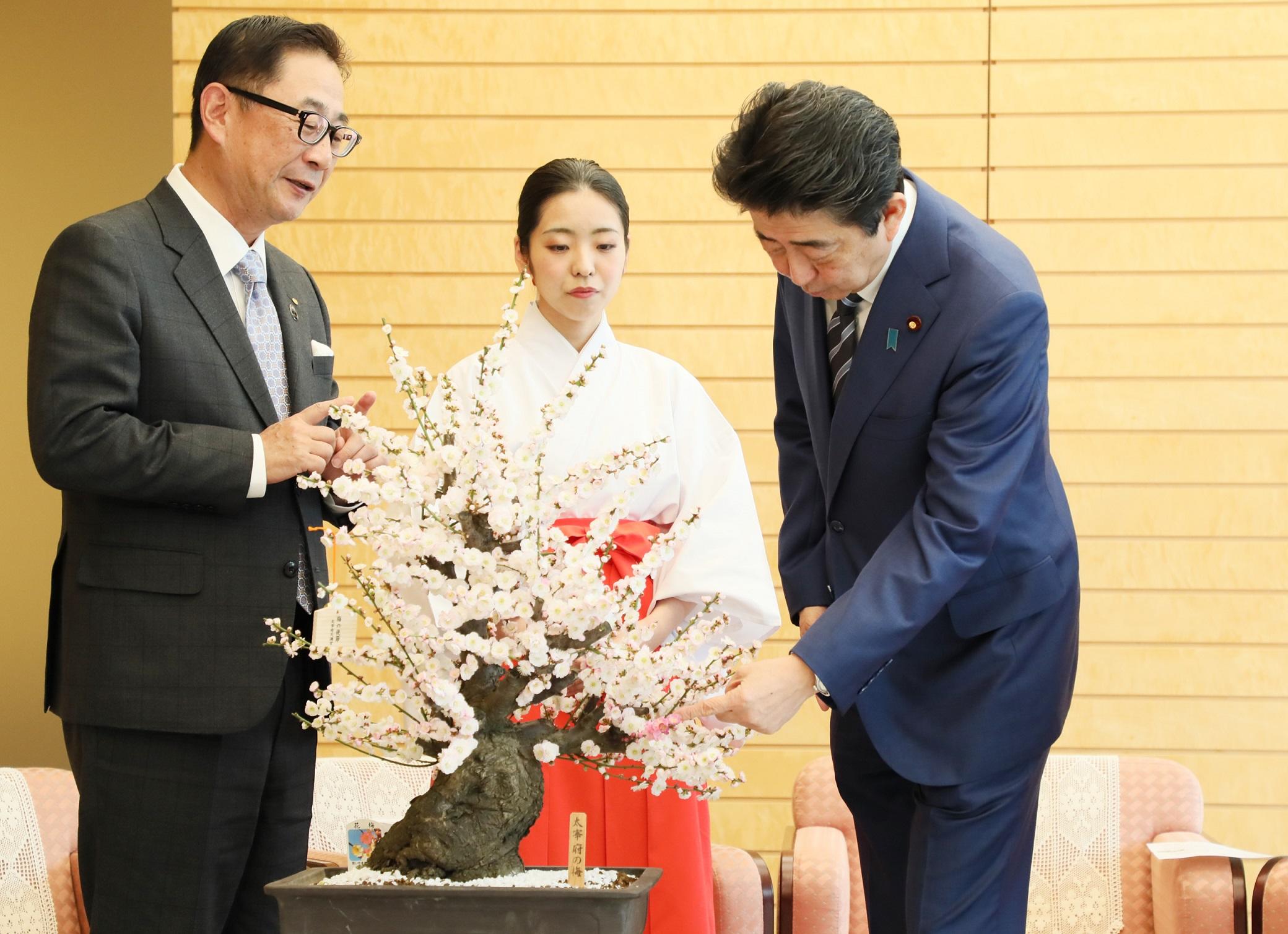 安倍总理在总理大臣官邸接受了太宰府天满宫“梅花使节”的拜访。