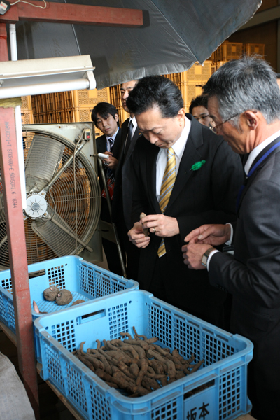 こんにゃく貯蔵庫を視察する鳩山総理の写真