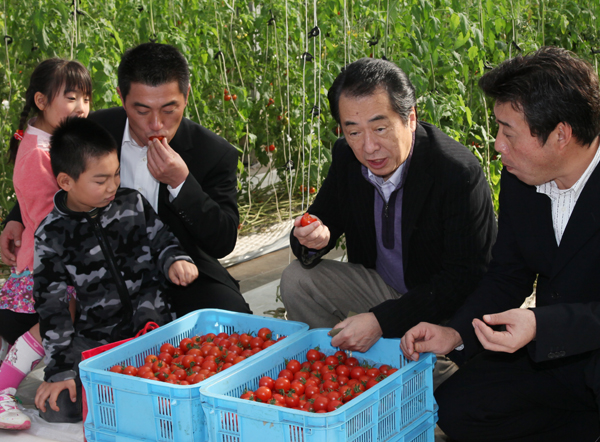 野菜栽培場を視察する菅総理２